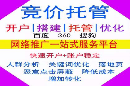SEO策略在电商平台的成功应用案例